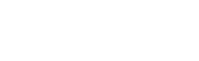 Tom Web Studio logo